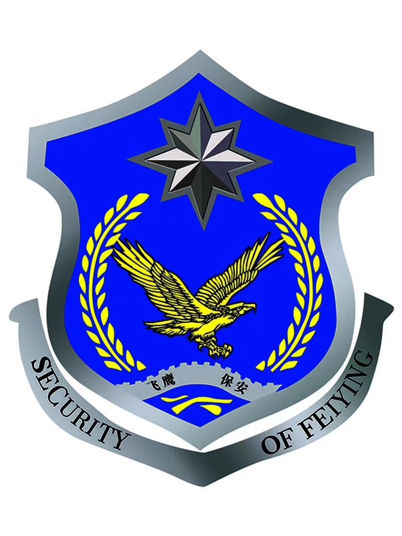 安徽省飞鹰保安服务有限公司